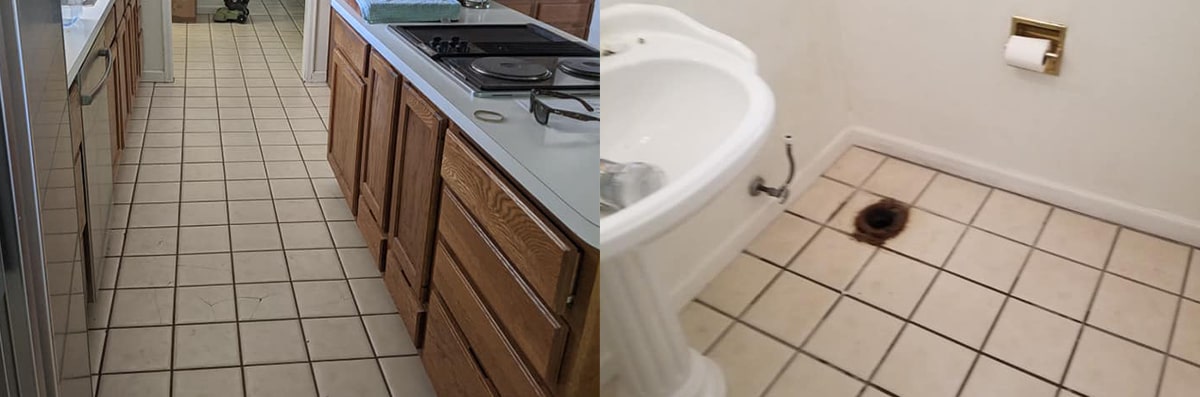 Mold Remediation Services